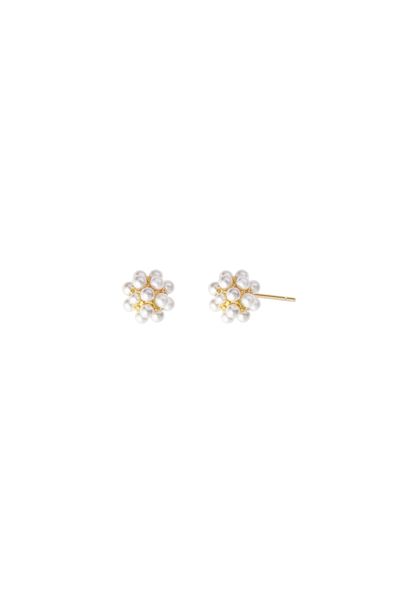 Dandelion Silver Earrings S