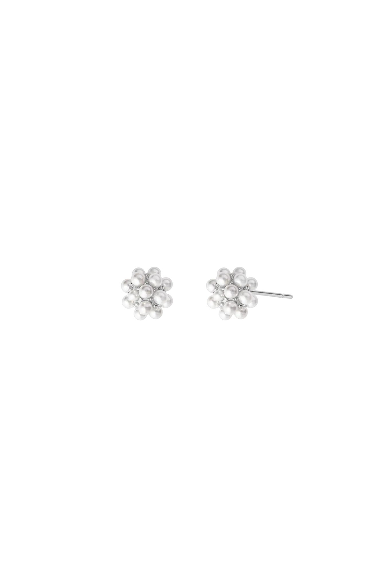 Dandelion Silver Earrings S