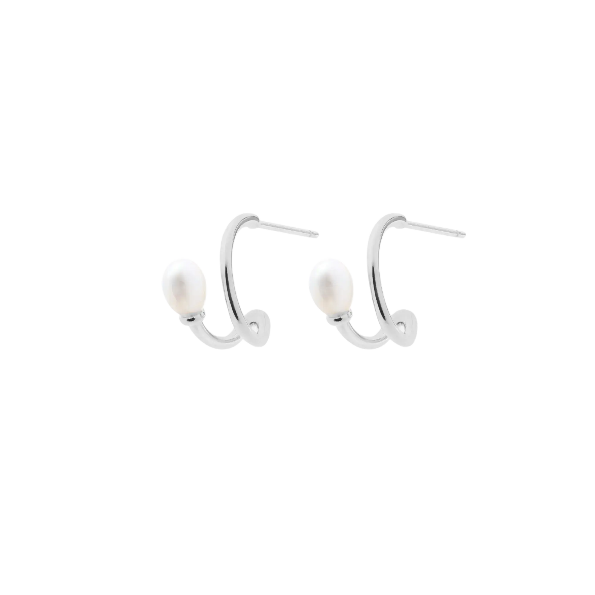 Silver Pearl on Loop Earrings