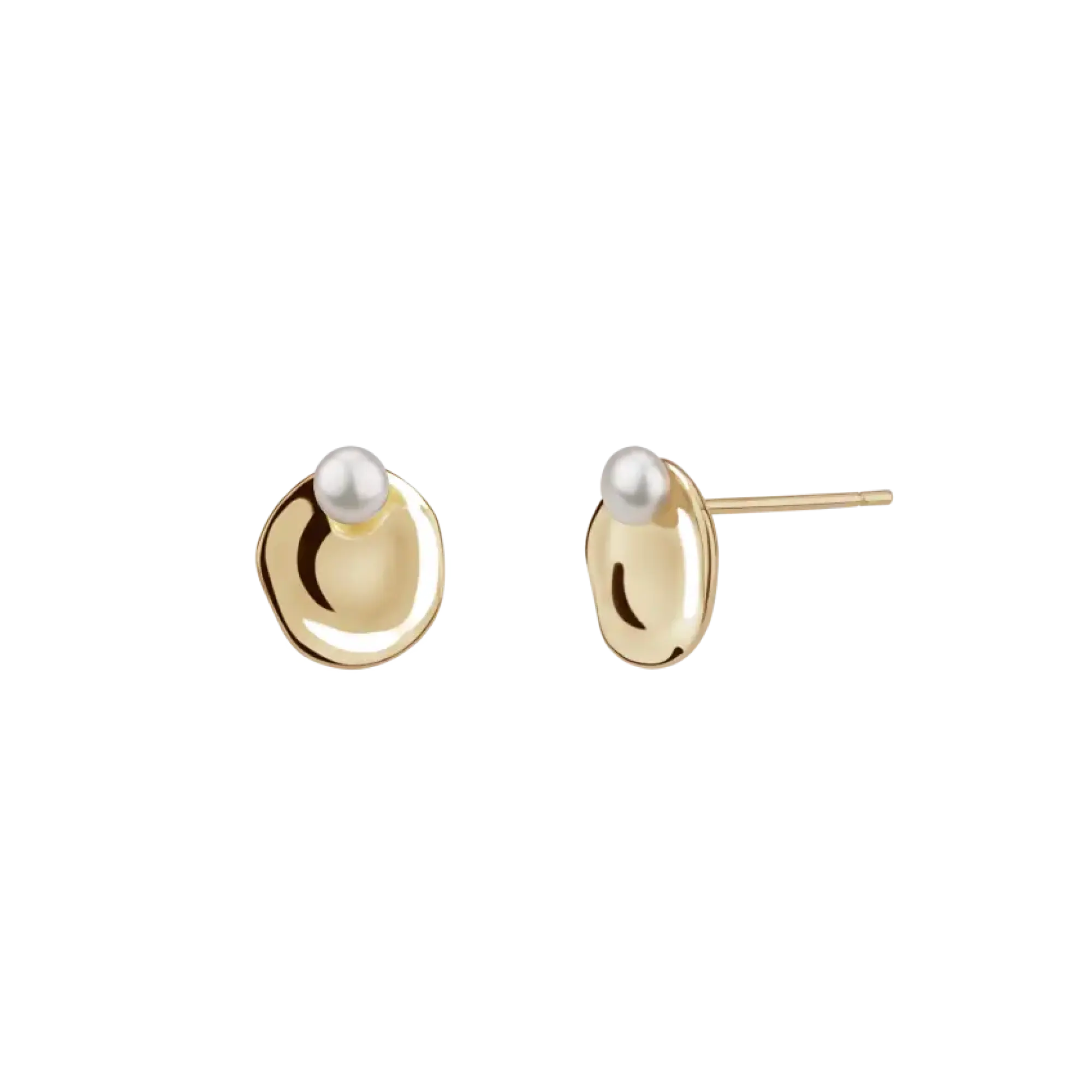 Silver Seashell Earrings II