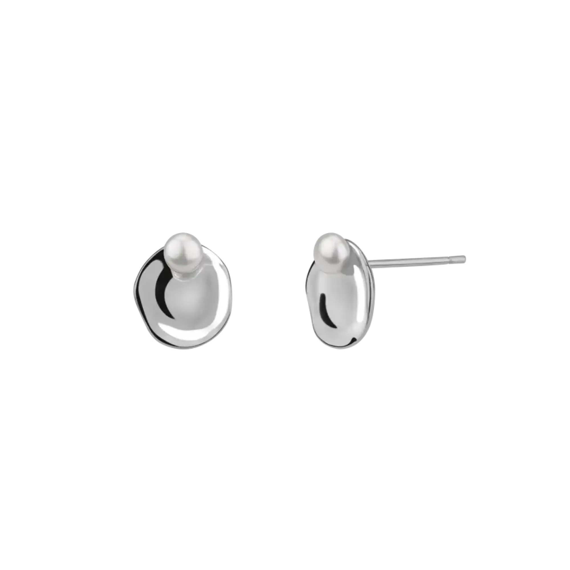 Silver Seashell Earrings II