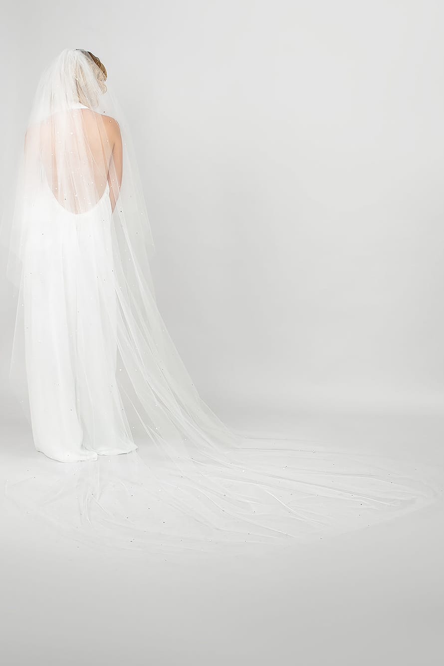 Twinkle Cathedral Veil with Pearls & Crystals